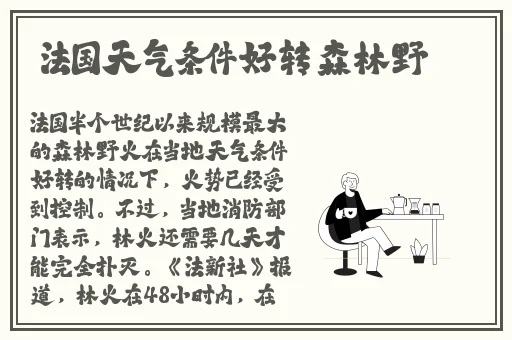 久久人人爽天天玩人**精品